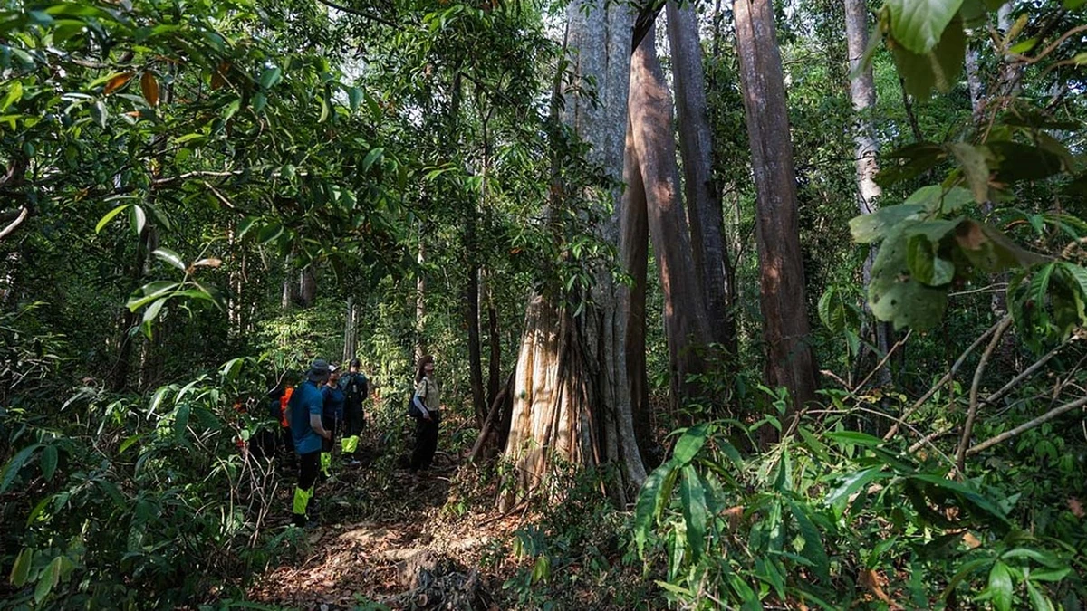 Cảnh sắc thanh bình tại vùng đệm Tà Lài - điểm kết nối văn hóa bản địa trong tour kiểm lâm Cát Tiên