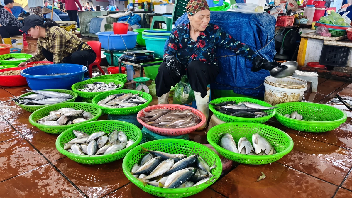 Tiểu thương bán cua biển cho biết hải sản được nhập từ tàu thuyền đánh bắt ở biển hoặc các cơ sở nuôi trồng ở Quảng Ninh nên luôn tươi và phong phú chủng loại.