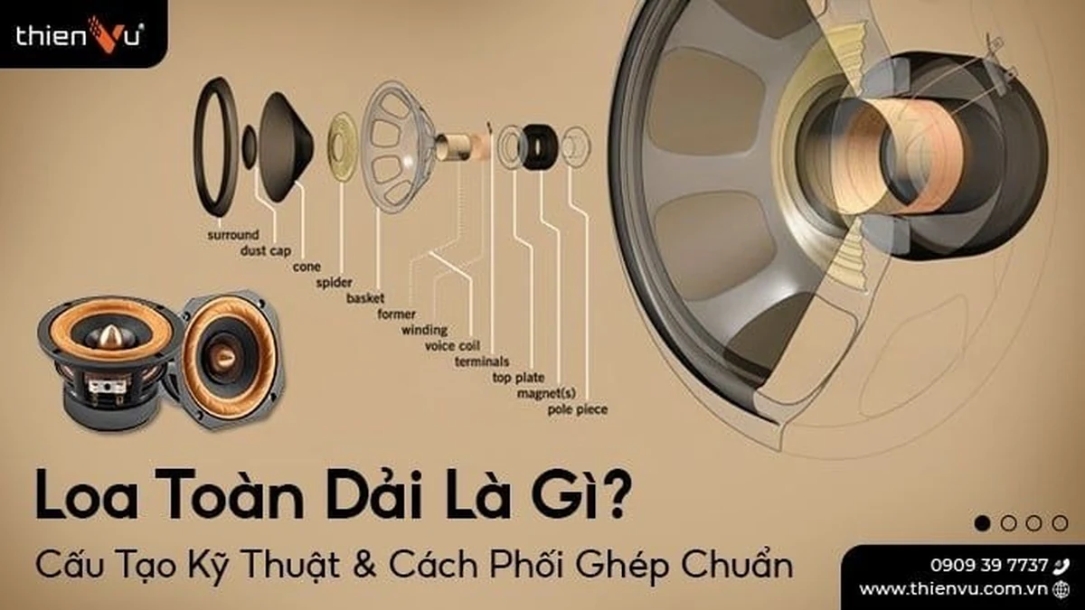 Loa toan dai la gi cau tao ky thuat cach phoi ghep chuan
