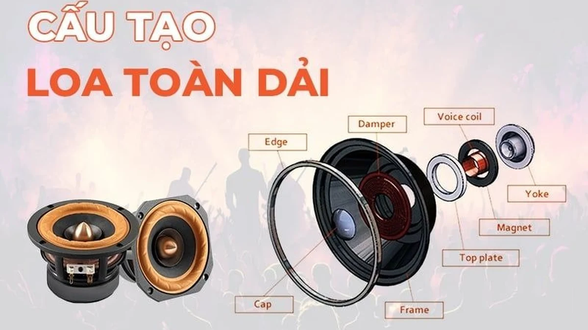 Cau tao chi tiet loa toan dai va cac bo phan