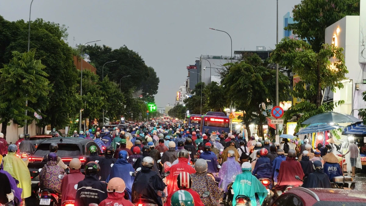 Người TP HCM 'bò' về nhà trong cơn mưa lớn giờ tan tầm: Góc nhìn chuyên gia về kỹ năng sinh tồn đô thị