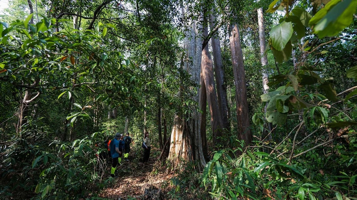 Tour kiểm lâm Vườn quốc gia Cát Tiên: Trải nghiệm trekking bảo tồn thiên nhiên độc bản