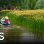 4 địa điểm du lịch Cà Mau hấp dẫn nhất cho hành trình khám phá miền cực Nam