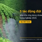 5 tác động đột phá của ứng dụng drone trong nông nghiệp 2026 tại Việt Nam