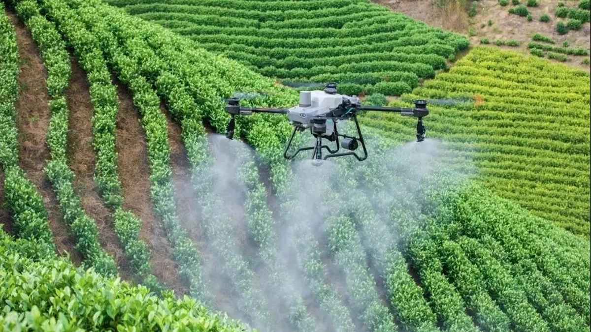Một mẫu drone phun thuốc trên cánh đồng. Ảnh:AgriDrone