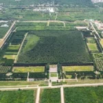 Bí ẩn sông thủy ngân trong mộ Tần Thủy Hoàng dưới góc nhìn khảo cổ học hiện đại