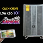 9 Tiêu chí chọn mua loa kéo tốt nhất định phải biết từ chuyên gia