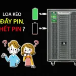 Cách Nhận Biết Loa Kéo Đầy Pin Và Hết Pin Chính Xác Nhất