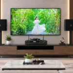 Giải pháp lắp đặt dàn karaoke gia đình Sumico CO65 chuyên nghiệp năm 2026