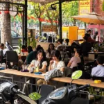 Khám phá “con đường mùa thu” TP HCM: 6 kinh nghiệm check-in hàng cây lộc vừng đường Trường Sa
