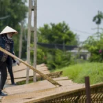 Khám phá làng nghề bánh đa Nông Xá Hải Phòng: Nơi khởi nguồn sợi bánh đa đỏ trứ danh