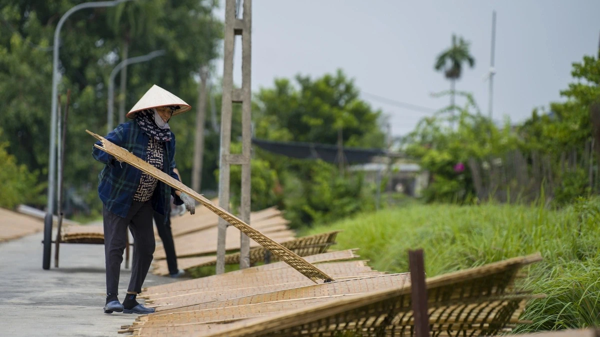 Khám phá làng nghề bánh đa Nông Xá Hải Phòng: Nơi khởi nguồn sợi bánh đa đỏ trứ danh