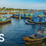 Kinh nghiệm mua đặc sản chợ Phan Thiết: Bí kíp chọn quà chuẩn vị cho người sành sỏi