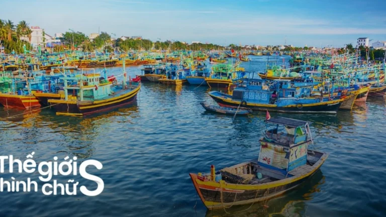 Kinh nghiệm mua đặc sản chợ Phan Thiết: Bí kíp chọn quà chuẩn vị cho người sành sỏi