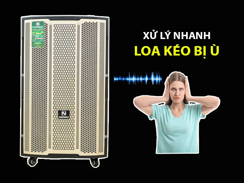 Loa kéo bị ù