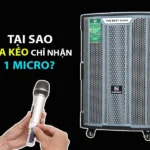 Tại sao loa kéo chỉ nhận 1 micro? Cách khắc phục từ chuyên gia