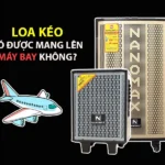 Loa kéo có được mang lên máy bay không? Quy định mới nhất 2024