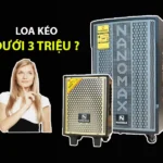 Top 3 Mẫu Loa Kéo Nanomax Dưới 3 Triệu Hay, Bền Bỉ Nhất 2023