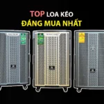 TOP 5 Loa Kéo Nanomax Hay Nhất & Kinh Nghiệm Chọn Mua Chuyên Sâu