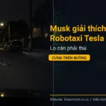 Musk giải thích vì sao Robotaxi Tesla chưa chạy ban đêm: Lo cán phải thú cưng trên đường