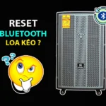 Hướng dẫn Reset Bluetooth Loa Kéo Nanomax Đơn Giản, Hiệu Quả