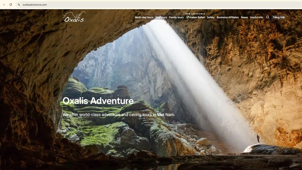 Website và tên chính thức của Oxalis.Ảnh chụp màn hình