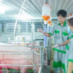 Ứng dụng công nghệ cao trong nông nghiệp: Xu hướng tất yếu và giải pháp đột phá