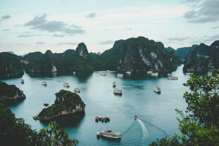 Kinh nghiệm du lịch Hà Giang tự túc 3 ngày 2 đêm ngắm hoa tam giác mạch